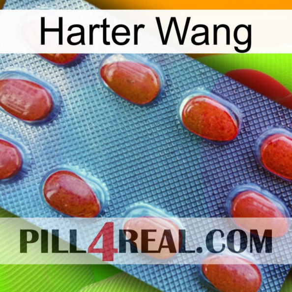 Hard Wang 06